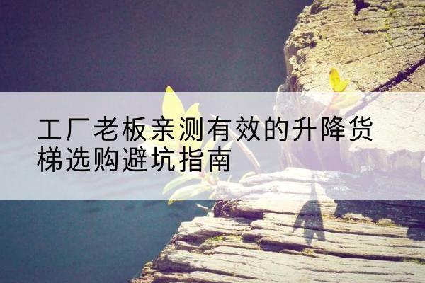 盱眙升降货梯怎么选-工厂老板亲测有效的升降货梯选购避坑指南