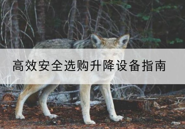 盱眙升降货梯厂家推荐-*安全选购升降设备指南