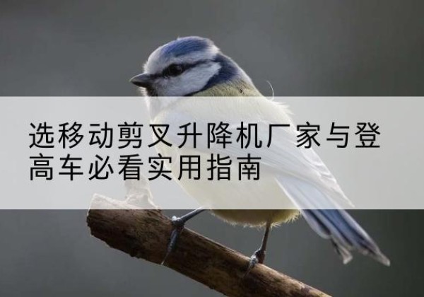 盱眙电动升降机厂家-选移动剪叉升降机厂家与登高车必看实用指南
