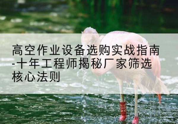 盱眙剪叉式升降机厂家-高空作业设备选购实战指南-十年工程师揭秘厂家筛选核心法则